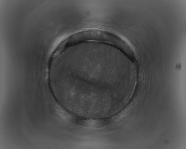 X0000092221461200710051148