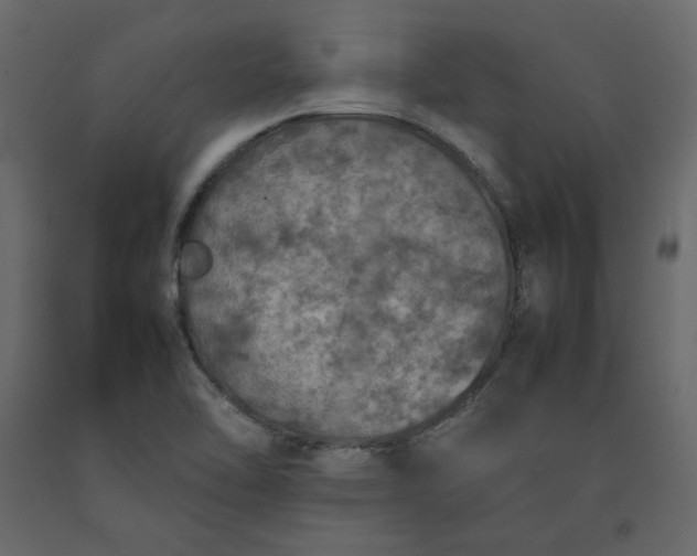 X0000092221462200710051148