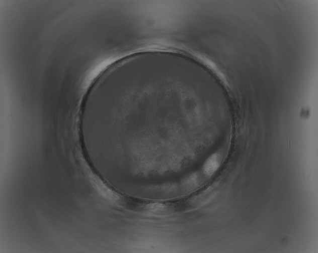 X0000092221463200710051148