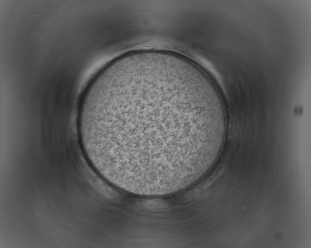 X0000092221464200710051148