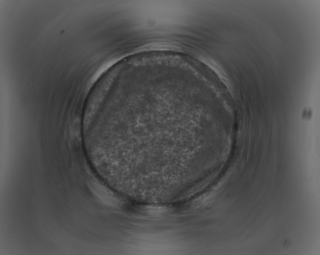 X0000092221465200710051148