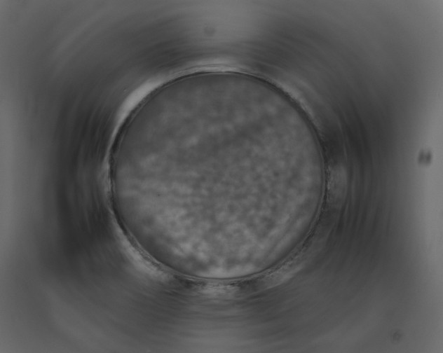 X0000092221466200710051148