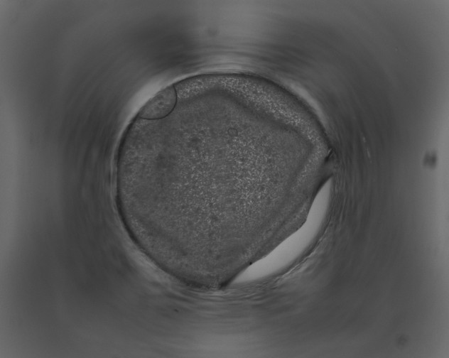 X0000092221467200710051147