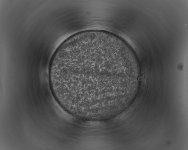 X0000092221468200710051147