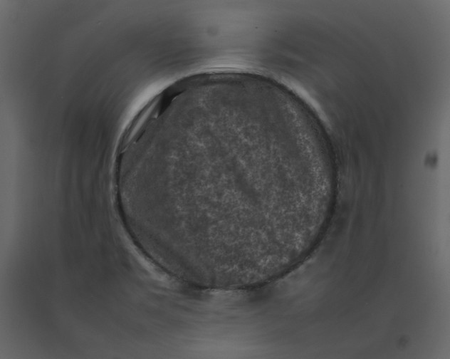X0000092221469200710051147