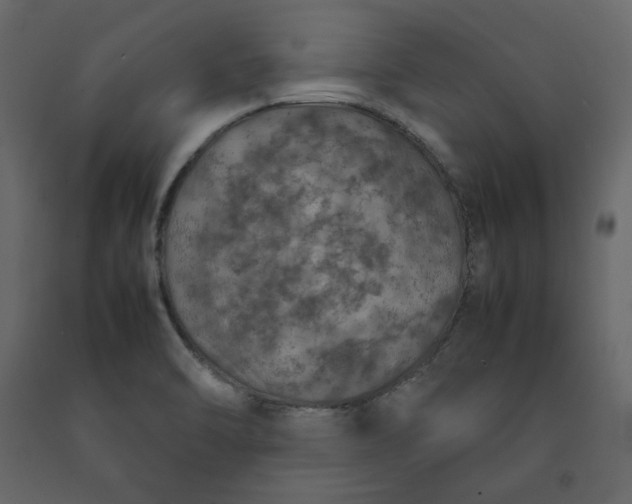X0000092221470200710051147