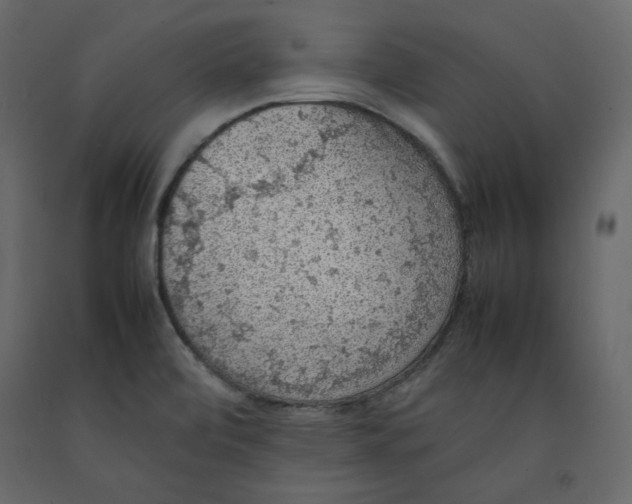 X0000092221472200710051147