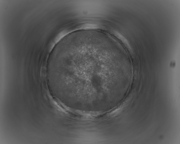 X0000092221473200710051147