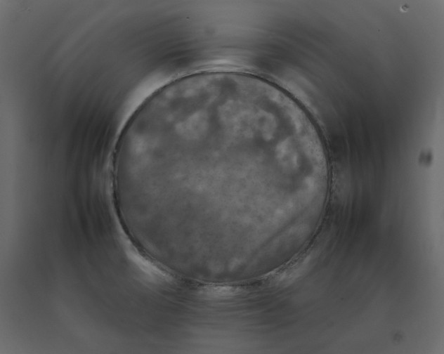 X0000092221474200710051147