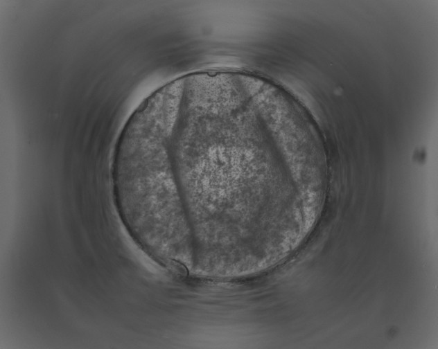 X0000092221475200710051147
