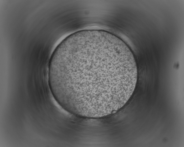 X0000092221476200710051147