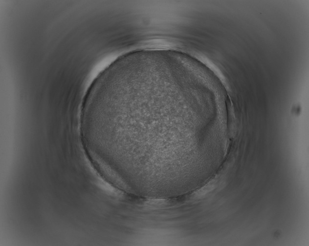 X0000092221477200710051147