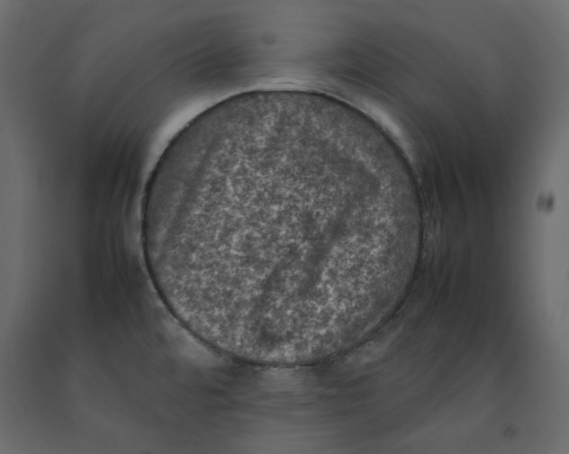 X0000092221480200710051147
