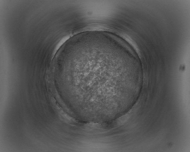 X0000092221481200710051147