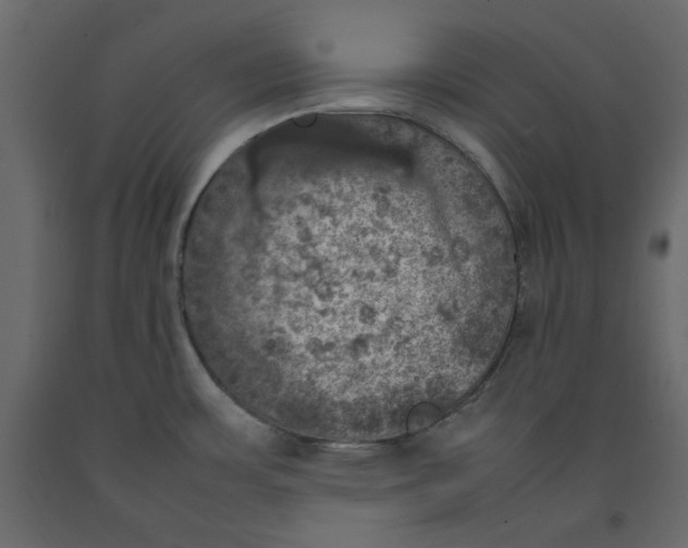 X0000092221483200710051147