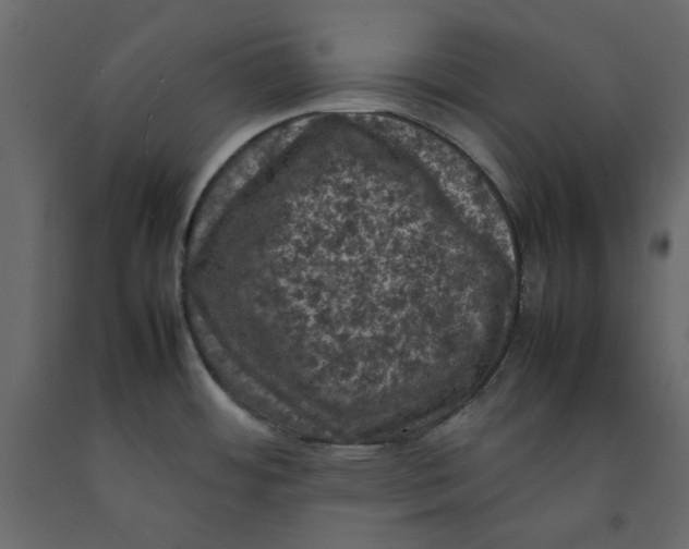 X0000092221484200710051147