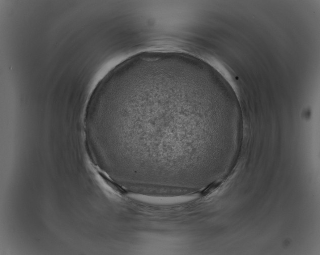 X0000092221485200710051147