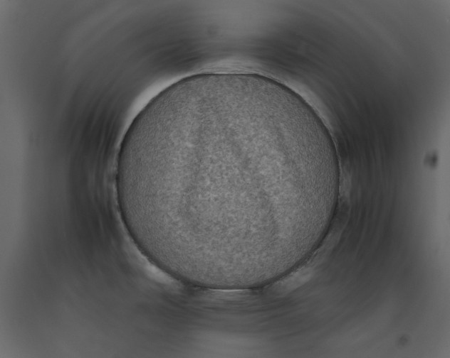 X0000092221486200710051147