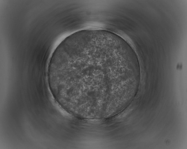 X0000092221488200710051147