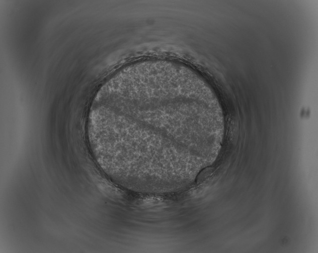 X0000092221489200710051146