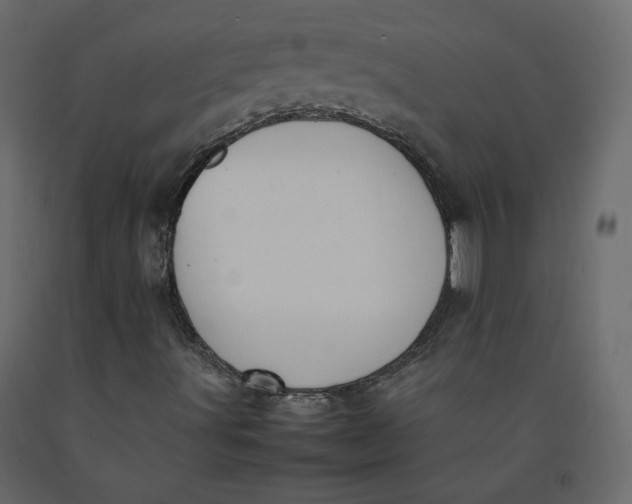 X0000092221491200710051146