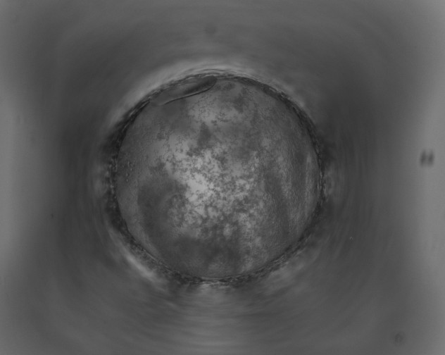 X0000092221496200710051147