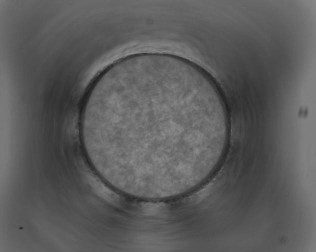 X0000092221498200710051147