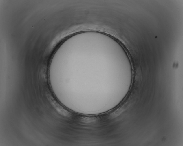 X0000092221499200710051147
