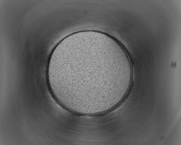 X0000092221500200710051147