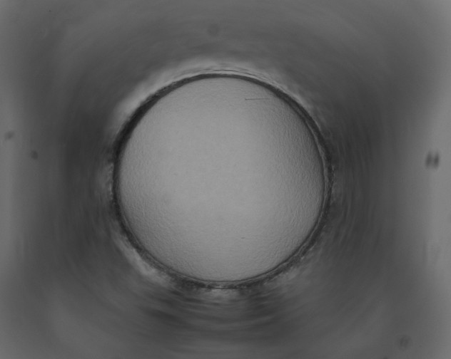 X0000092221503200710051147