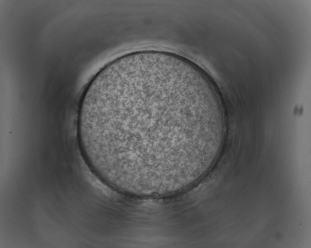 X0000092221504200710051147