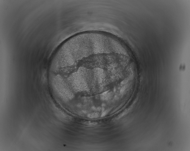 X0000092221505200710051147