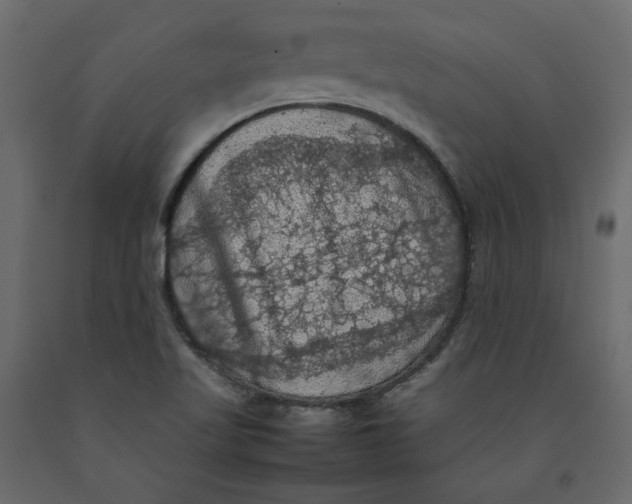 X0000092221509200710051147