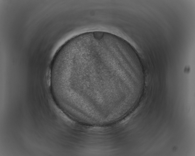 X0000092221510200710051147