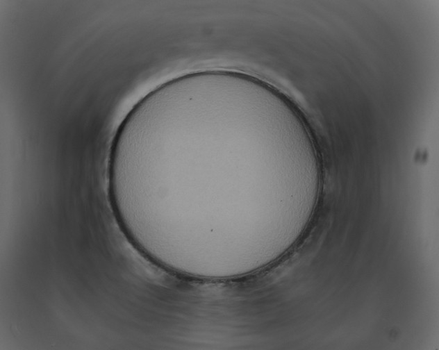 X0000092221512200710051147
