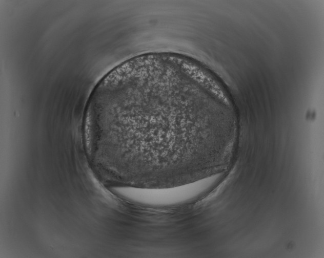 X0000092221513200710051147