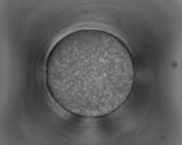 X0000092221514200710051147