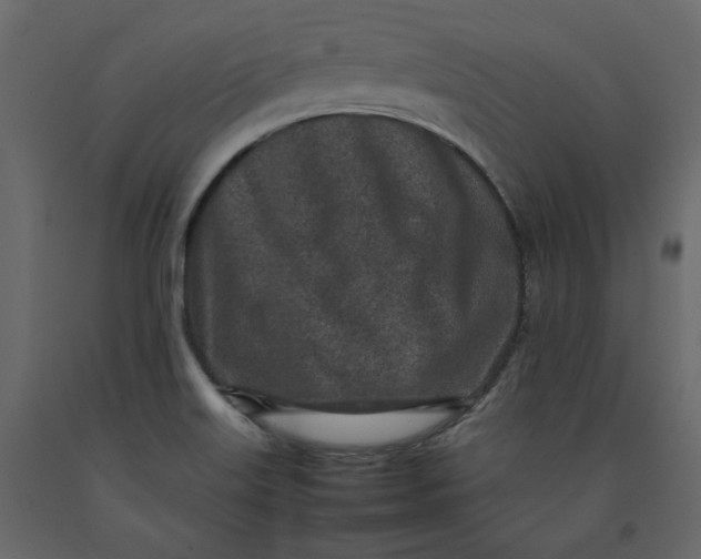 X0000092221515200710051147