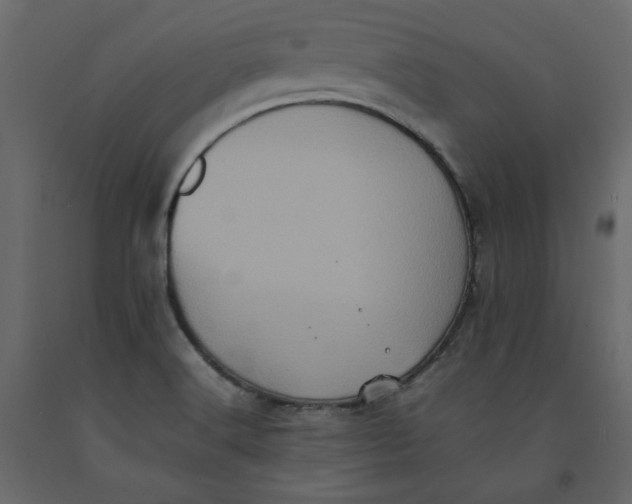 X0000092221516200710051147