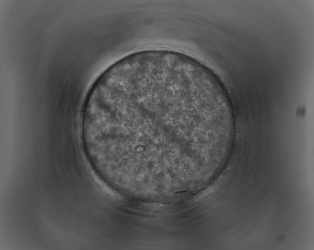 X0000092221517200710051147