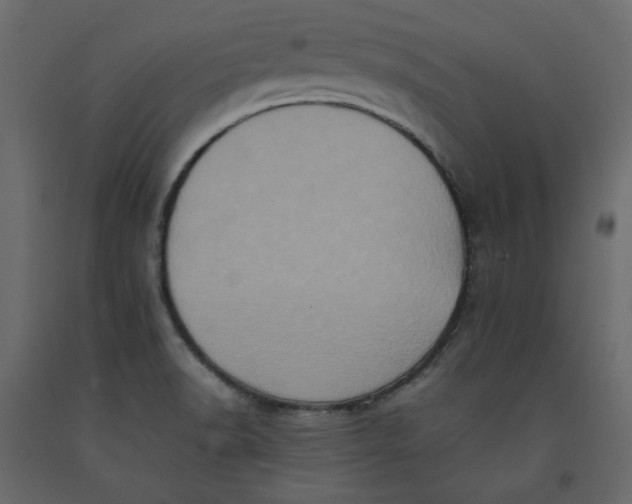 X0000092221518200710051147