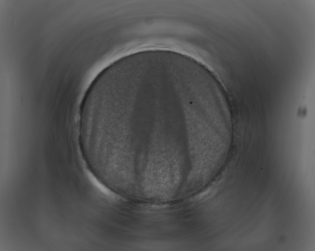 X0000092221519200710051147