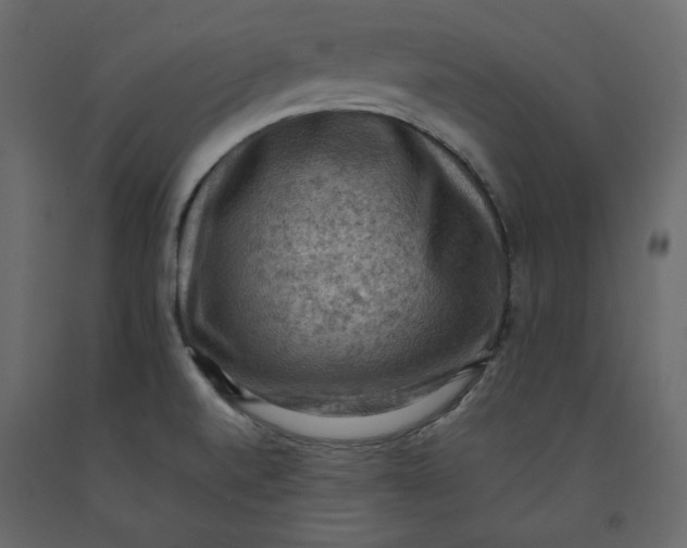 X0000092221520200710051147