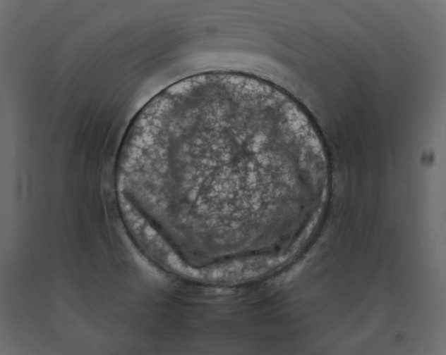 X0000092221521200710051147