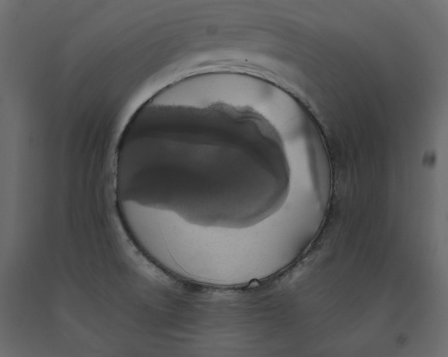 X0000092221522200710051147