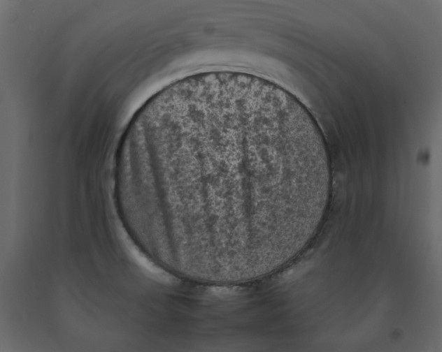 X0000092221523200710051147