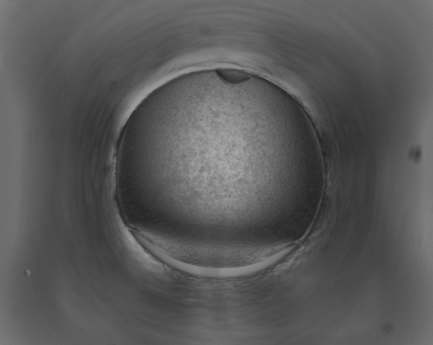 X0000092221524200710051147