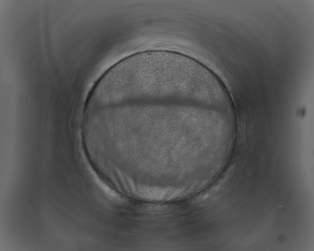 X0000092221525200710051147
