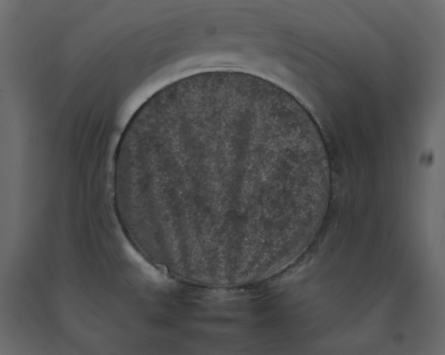 X0000092221527200710051147