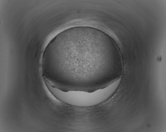 X0000092221528200710051147